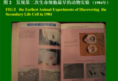 恒峰g22(国际)官网入口-每天有惊喜